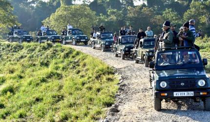 Ageing safari vehicles spark safety concerns in Ranthambore reserve