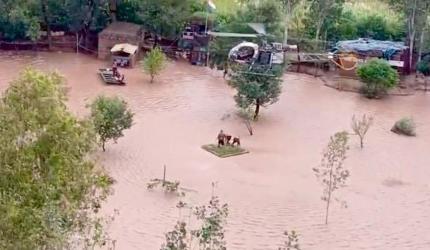 Building collapses moments after Army's daring rescue op in Pathankot