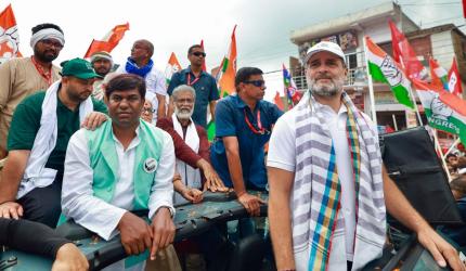 BJP leaders jittery as they're caught stealing votes: Rahul