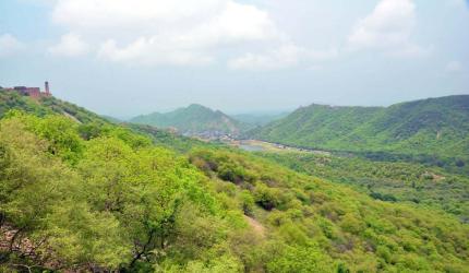 'Thar Desert Will Reach Delhi Soon'