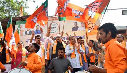 BJP dominates Maha civic polls, tops 5 of six divisions
