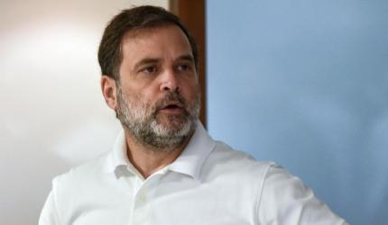 Midnight decision disrespectful: Rahul on CEC appointment