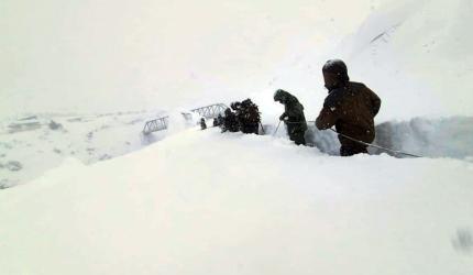 U'khand avalanche: 4 workers die, 50 rescued; 5 trapped