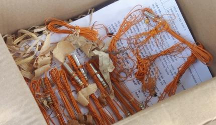 Explosives found at Bengaluru bus stand toilet; probe launched