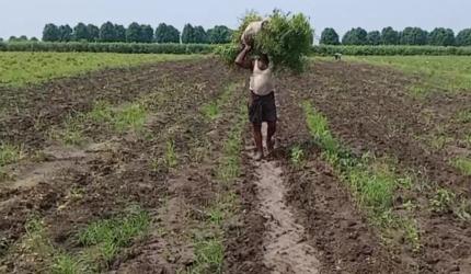 MP farmer's Rs 3 income shocks Internet; officials say 'clerical error'