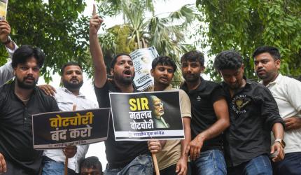 Bihar SIR: Another dog 'applies' for residence proof