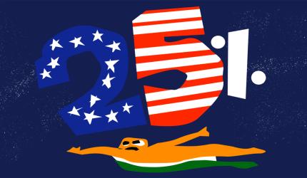 US did not accept India's request for consultations at WTO over import tariffs: Minister