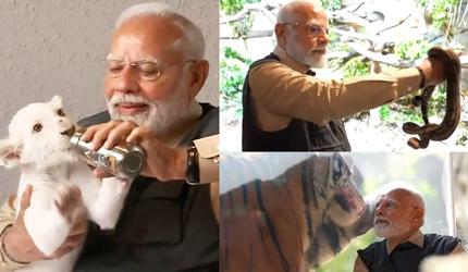 SEE: Modi feeds lion cub, catches snake at Vantara