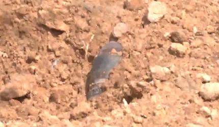 Object resembling parts of Pak drone found in Jaisalmer