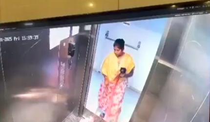 Bengaluru woman arrested for killing pet dog in lift
