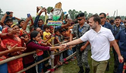 Congress Rout: Rahul's 'Vote Chori' Has No Impact