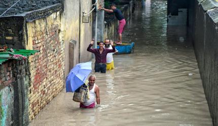 'Families surviving on biscuits': Delhi reels as Yamuna floods