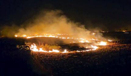 Stubble burning: Why can't some farmers be arrested, asks SC