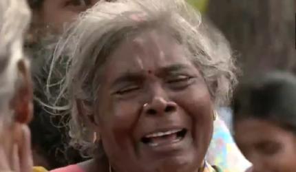 TVK moves HC seeking CBI probe into Karur stampede deaths