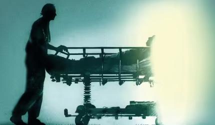 'Right To Die With Dignity Is A Fundamental Right'