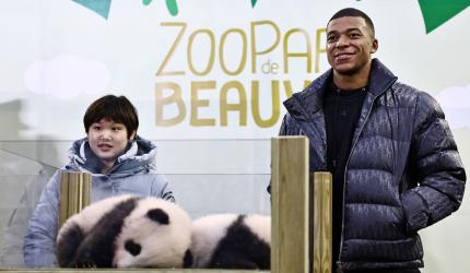 PIX: Mbappe becomes godfather to panda cub