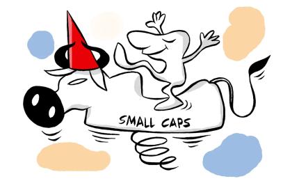 Smallcap Index Faces Worst Year Since 2018