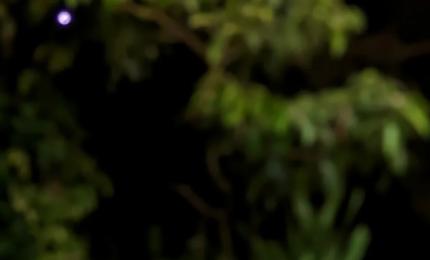 7 Recipes For India's All-Time Favourite -- Puris