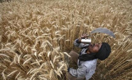 9 pm News Flash – November 3, 2025