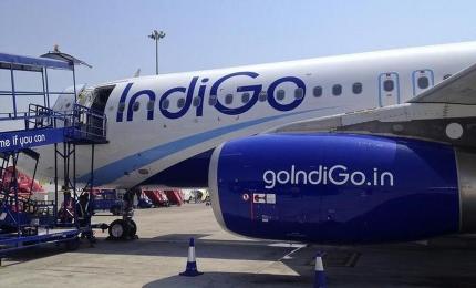 IndiGo Q1 profit skids 20%; sees 12% passenger growth