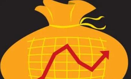 Co-investment may slip its leash as rules relax for big-ticket plays