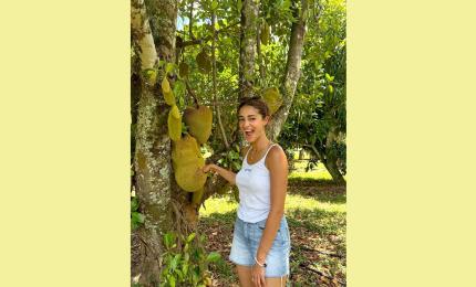 Ananya's Jackfruit Story