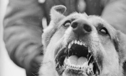 1 pm News Flash – December 24, 2025