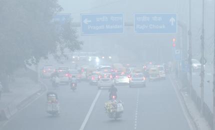 11 am News Flash – November 11, 2025