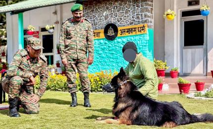 Indian Army Hero Tyson Is Recovering Well