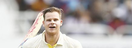 Meet the hardest working cricketers in the world!