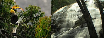 Escape to the hills: Top 5 getaways near Chennai