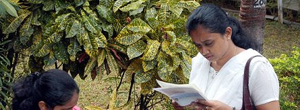 IBPS PO Prelims 2015: Exam analysis