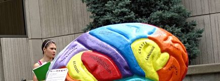 5 amazing facts about the brain