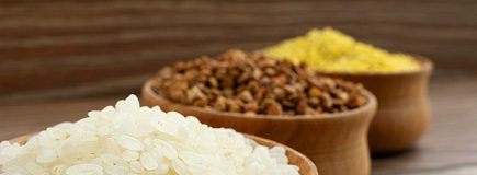 Want to lose weight? Check these Recipes