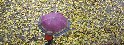 Good monsoon to bring cheer to economy