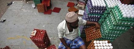 Maggi, banned. And oil, eggs, vegetables, pulses?