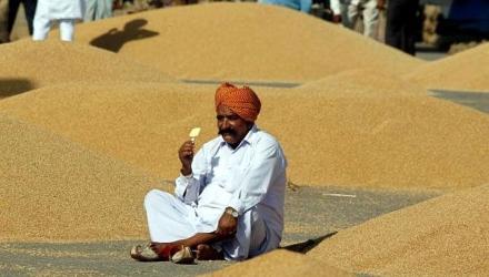 Sebi Extends...