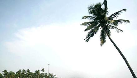 Goa Shackathon:...