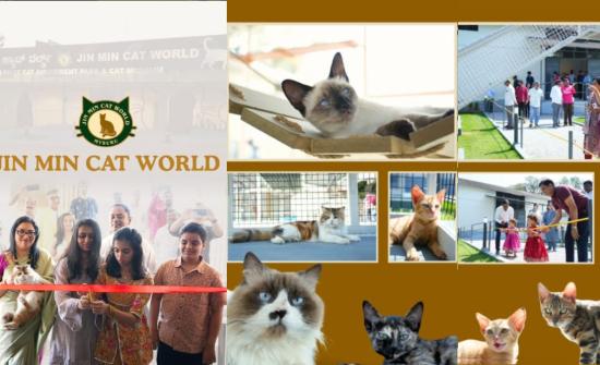 8 Most Unusual Museums In India