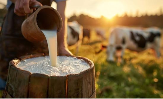 Which Country Produces The Most Milk?