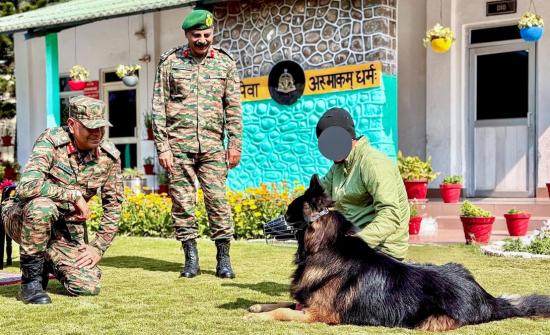 Indian Army Hero Tyson Is Recovering Well