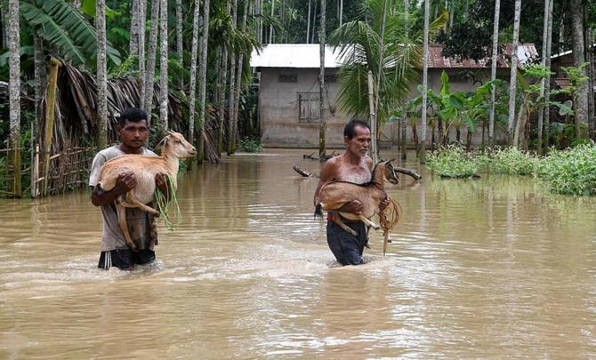 Rain fury wreaks havoc in Northeast; lakhs hit, toll at 36