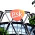 GlaxoSmithKline...