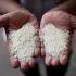 India Eases Rice...