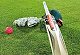 Cricketer dies from head injury in freak accident
