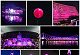 Ganguly can't hold back his joy as Kolkata turns pink
