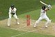 Kohli is the best batsman in the world: Paine
