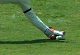 Windies coach meets Javagal Srinath over umpiring row