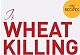 Is wheat killing you? Gluten-free recipes