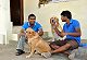 For the love of dogs